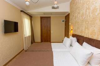 Отель King David Hotel Тбилиси Стандартный двухместный номер с 2 отдельными кроватями-5