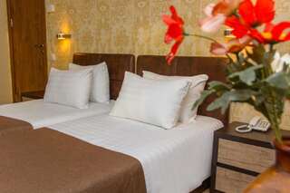 Отель King David Hotel Тбилиси Стандартный двухместный номер с 2 отдельными кроватями-7